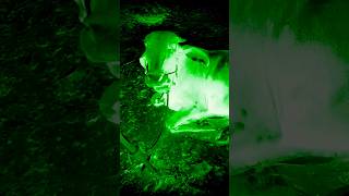 bhoot funny ghost comedy horror horrorsounds ghosteffect ghoststories bandar funny 