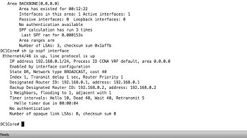 13 2 Troubleshooting Enhanced Routing Issues   CCNA Data Cen