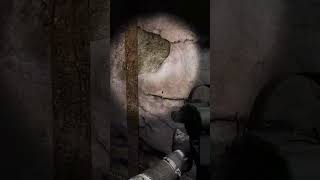 S.T.A.L.K.E.R. Gamma bloodsucker in the sewer #mutant #S.T.A.L.K.E.R. #gaming