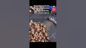 Nut Cracking Hack: Easy Way to Shell Nuts Using a Wrench #lifehacks #tips #tricks #food