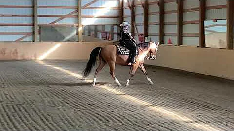 Ravenwood DunIn Style+ WDAA World Show, October 20...