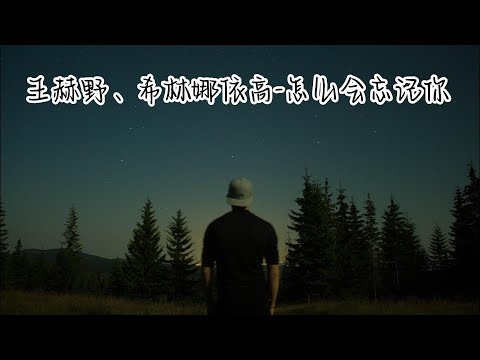 王赫野、希林娜依高-怎么会忘记你 『你的身影 占据着无数个日夜重复的片段里怎么会忘记你』【YUI MUSIC】