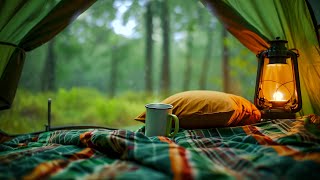 Warm and Fresh Summer Rain from a Cozy Tent in the midle of the Forest Ambience