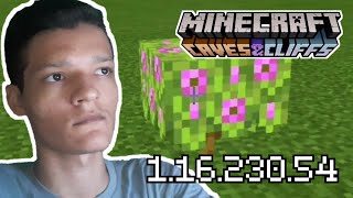 MINECRAFT BERDROCK 1.16.230.54 Árvore De Azalei CAVERNAS E PENHASCOS! screenshot 1