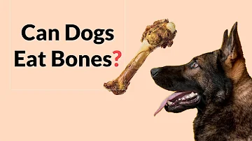 Do dogs eat bones or just chew them?
