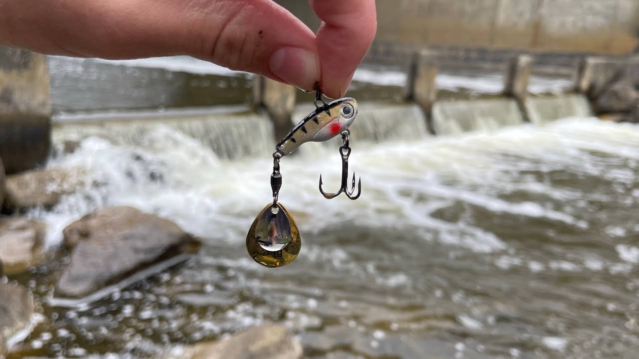 This STRANGE Lure Catches GIANT Fish! YouTube