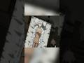 男は亡くなった妻のそばに大量の氷を置きました #anime #film #shorts