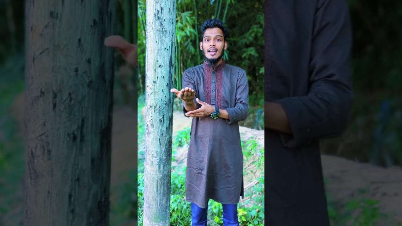 দেশত উন্নয়ন গরিয়ুম। ক্ষমতা নিয়ে সংগীত। 