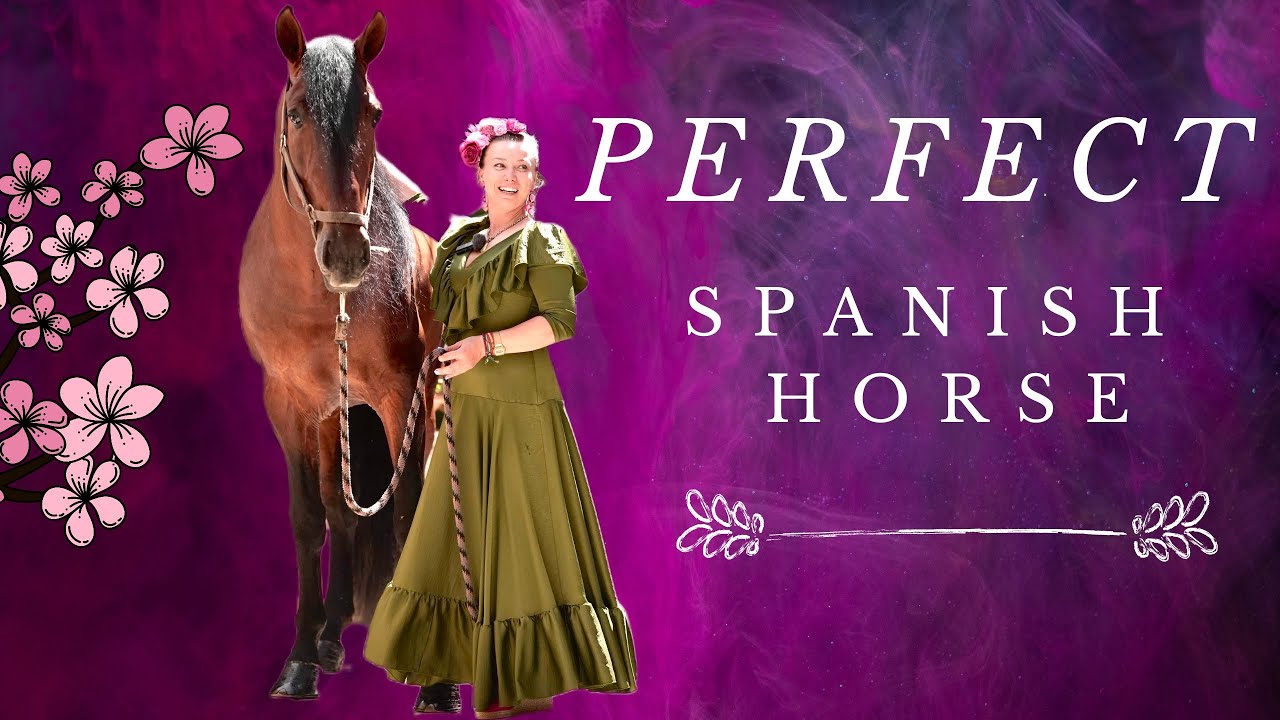 How perfect spanish horse looks like? YouTube