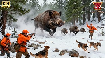 How Do Hunters and Farmers Deal With Millions of Wild Boar | The Feral Hog Invasion