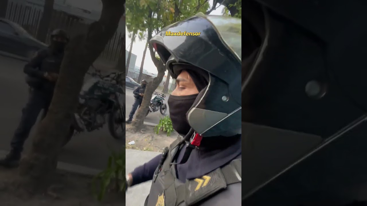 Patrulla con placa de cartón