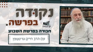 פרשת בלק | עבודה בעיניים | נקודה בפרשה עם הרב חיים גרינשפן