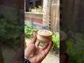 Wonderful Toy Rice Cooker Showpiece Made from Mahogany Wood 😱#viral #shorts #foryou