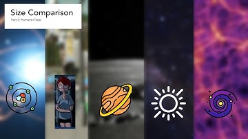 Size Comparison 2022 Part 3 - MDTTV