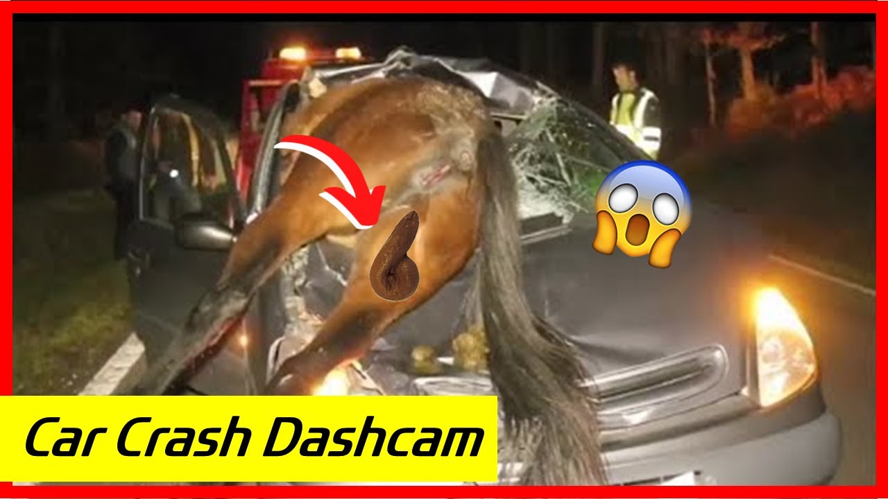 Dash cam UK - dashcam UK crash on 95 #24 😂 | #dashcamuk #dash #uk # ...