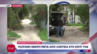 Τραγωδία στη Σαλαμίνα: 75χρονη νεκρή μετά από ληστεία στο σπίτι της | Μεσημβρινό δελτίο | 01/11/2025 screenshot 3