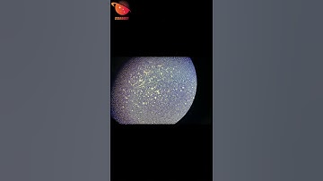 Radio frequency plasma spheroidization powder making