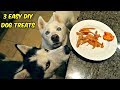 3 Easy DIY Treats for Your Dog