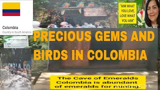 Vlog #80 Precious Gems and Birds In Colombia / Cruising Colombia