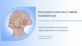 Какие лимфатические узлы надо обязательно смотреть?