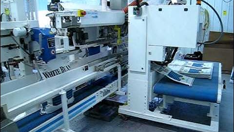 Pacepacker Gusset Reforming Paper Bags - Wise Packaging Equipment Ltd