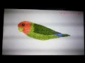 簡単！ｽｸﾞできる♪

『鳥の刺し刺繍』ﾌﾞﾛｰﾁや雑貨づくり