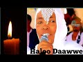 ODUU GADDAA Artist Haloo Daawwee Du Aan Aaddunyaa Kana Irraa Boqotan 