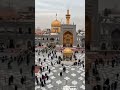 #noha #status #alijee #karbala #alishanawar
