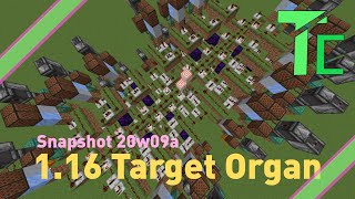 1.16 Working Piano/Organ in Minecraft Using Targets! (Snapshot 20w09a) screenshot 3