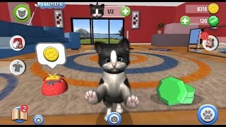 Виртуальный Котенок - Новый питомец. Знакомимся, играем в казино. Мультфильм-игра (1 серия) Виртуальный Котенок - Новый питомец. Знакомимся, играем в казино. Мультфильм-игра (1 серия)
