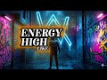LAST ZONE  || NCS No Copyright Music || Alan Walker Style