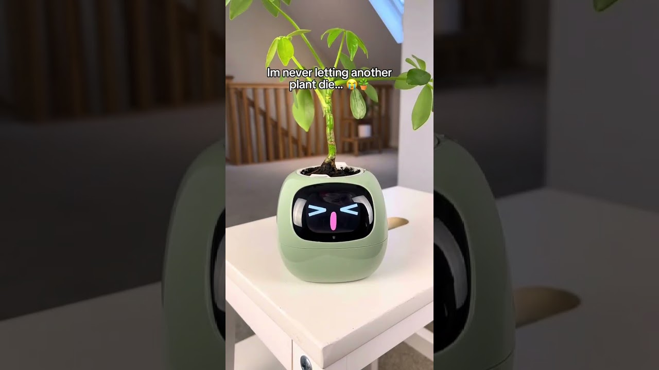 Meet your new plant buddy!
