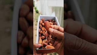 Kurma premium murah enak manis