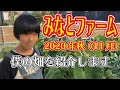みなとファーム　2020年秋（11月）