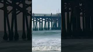 #2026 #surf #sealbeach #waves #surfing #beach #onesurfvideo#watchit#bigwaves