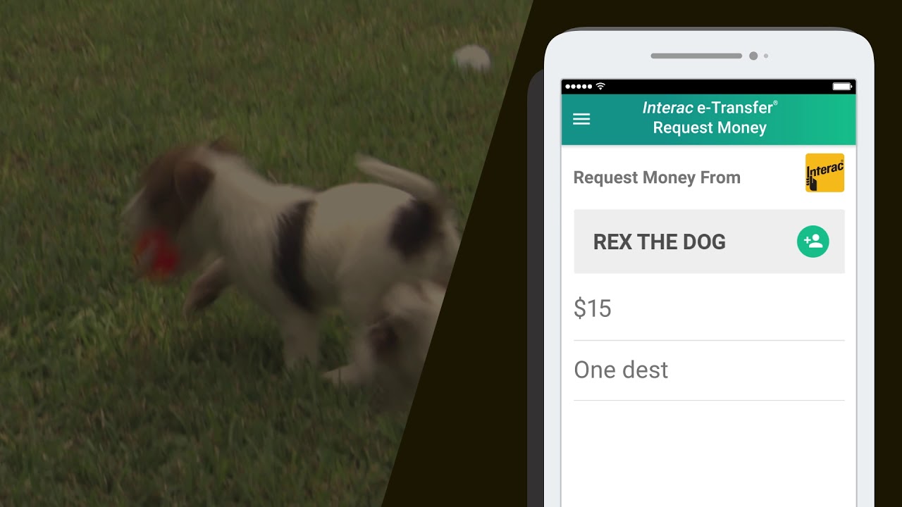 Keeping Your Payments on a Tight Leash - YouTube