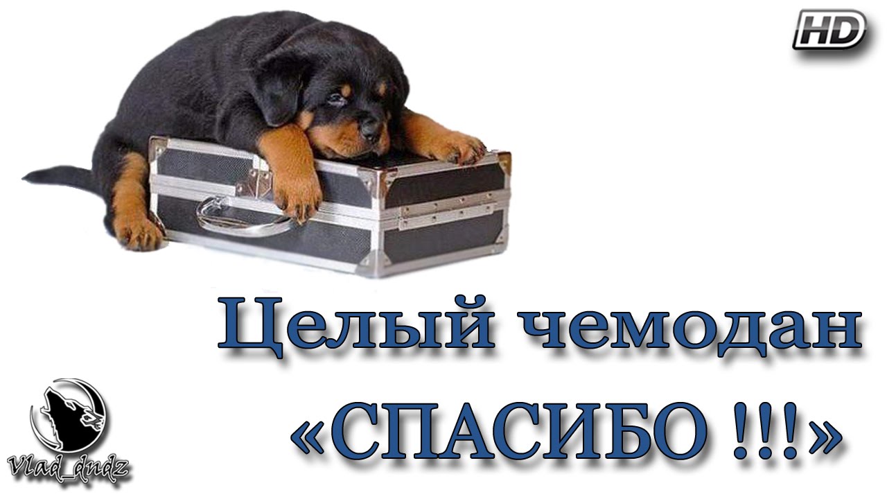 Фото Вот Такое Спасибо