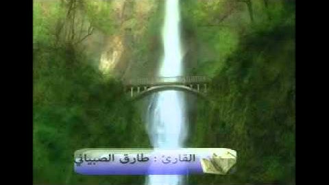القارئ : طارق الصبياني ، سورة النباْ