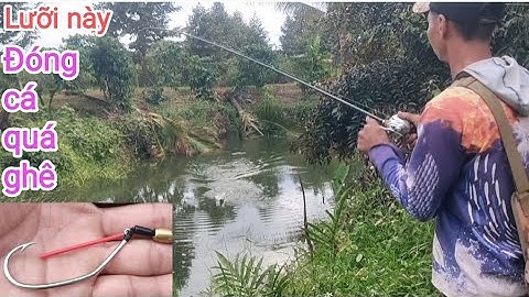 Câu cá lóc_Đi tes cái lưỡi bạn tặng lên hàng thật phê @Hữunghị tv