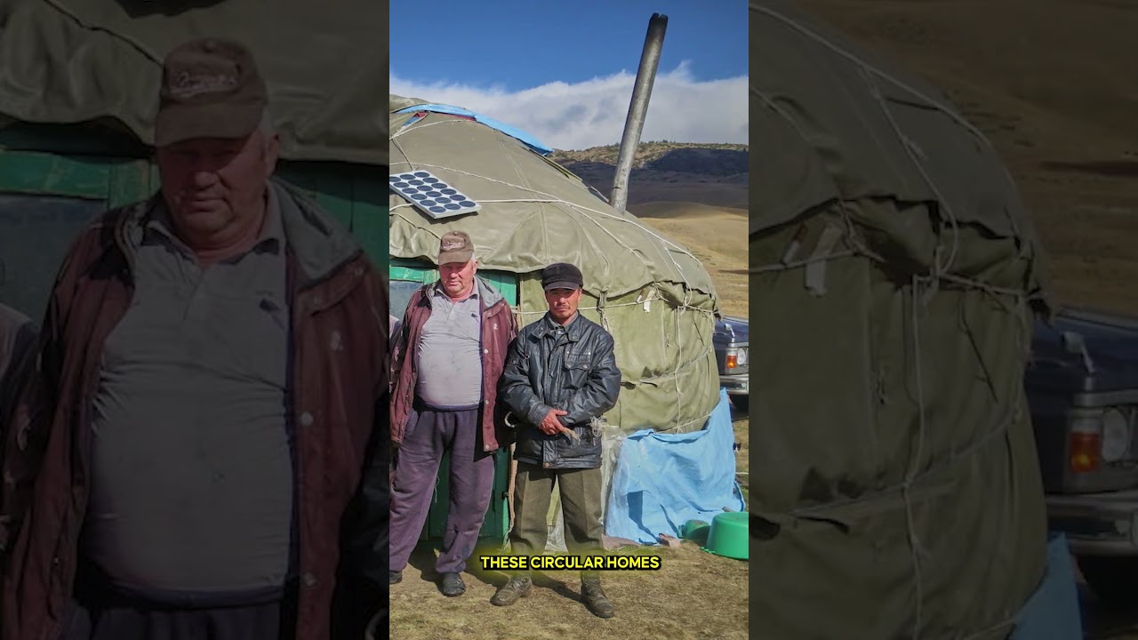 NOMADS OF MONGOLIA | #mongolia #nomad #shorts