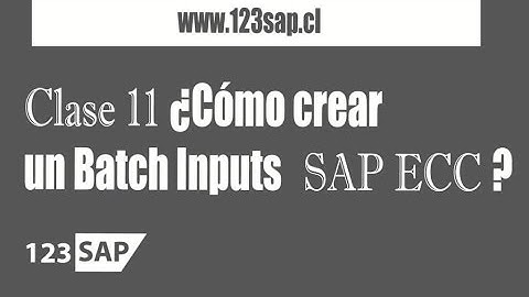 2.11 Curso ABAP | Clase 11Batch Inputs en ABAP/4 - Consultor SAP