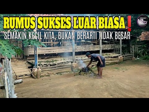 Video: Bagaimana Untuk Membantu Anjing Anda Jadi Tetamu Kesyukuran yang Hebat