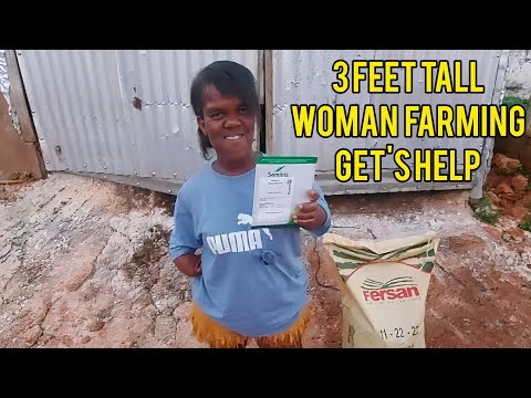 3 FEET TALL WOMAN FARMING IN ST.ELIZABETH JAMAICA GET'S WELL DESRVED HELP WITH HER FARMING