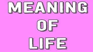 Meaning of Life!