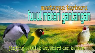 Masteran full materi gantangan ❗ jinjing petulak Lovebird dan kastem 🔥
