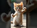 Ya Tabtab Ya Dalla Arabic Song Cat Dancing Yatabtab Arabicsong Catdancing