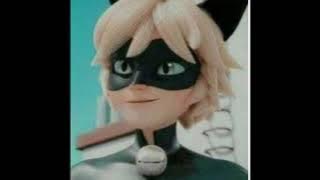 Cat noir (ooi você tem novas mensagens my lady) - toque para mensagens