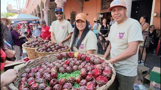 Así es la FERÍA DE LA PITAYA MÁS GRANDE DE JALISCO en el pueblo de Amacueca
