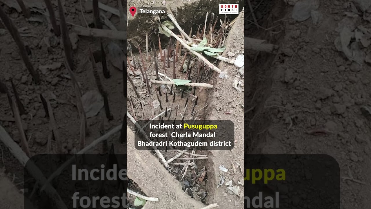 Telangana: Maoists' deadly spike traps unearthed in Telangana forests