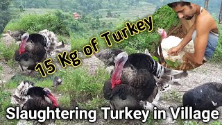 Turkey slaughtering in Village |Butchering Turkey | ट्रकिको मासु स्वास्थ्यवर्धक, खाने होइन त ?